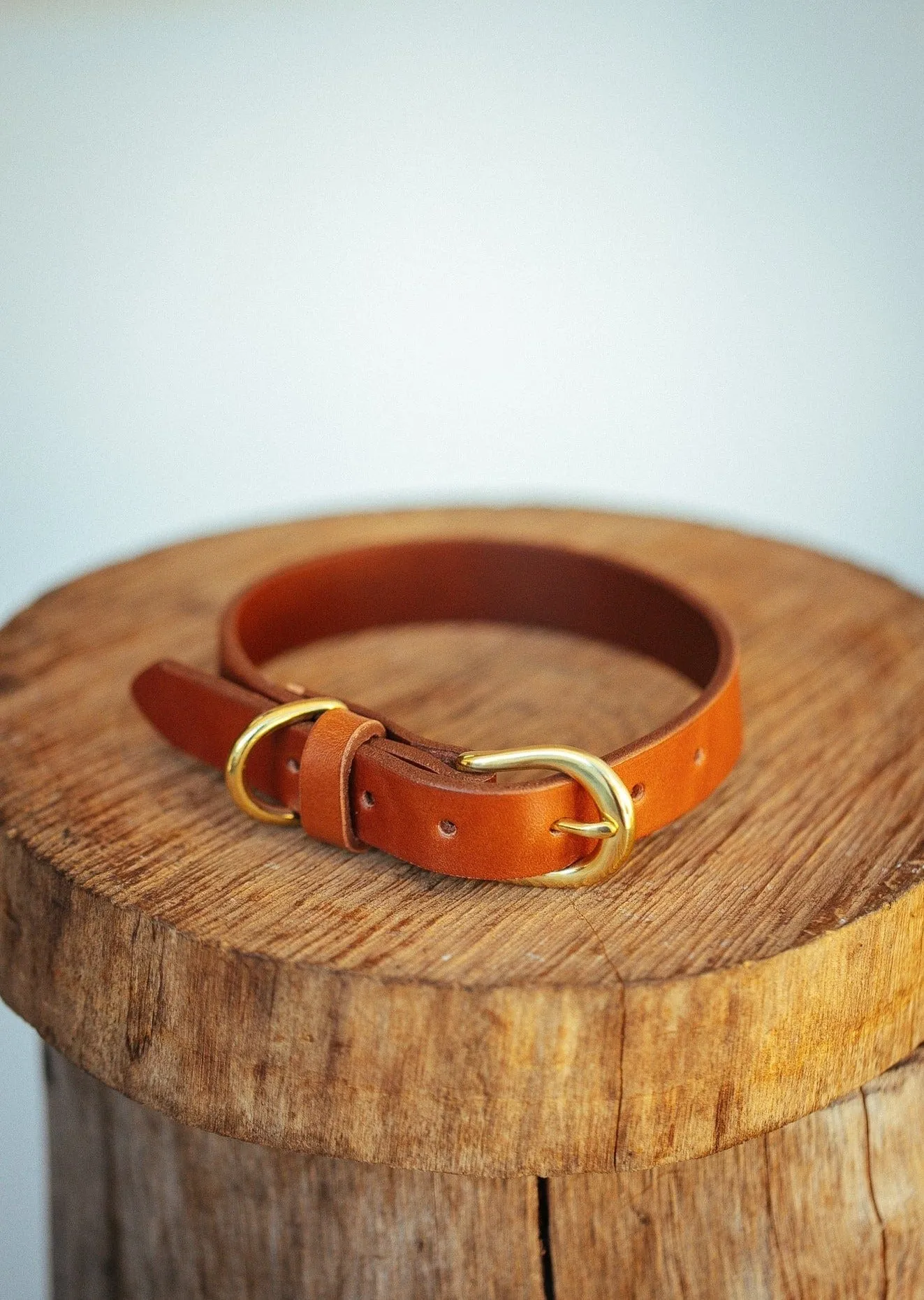 Classic Dog Collar - 18mm - Tan