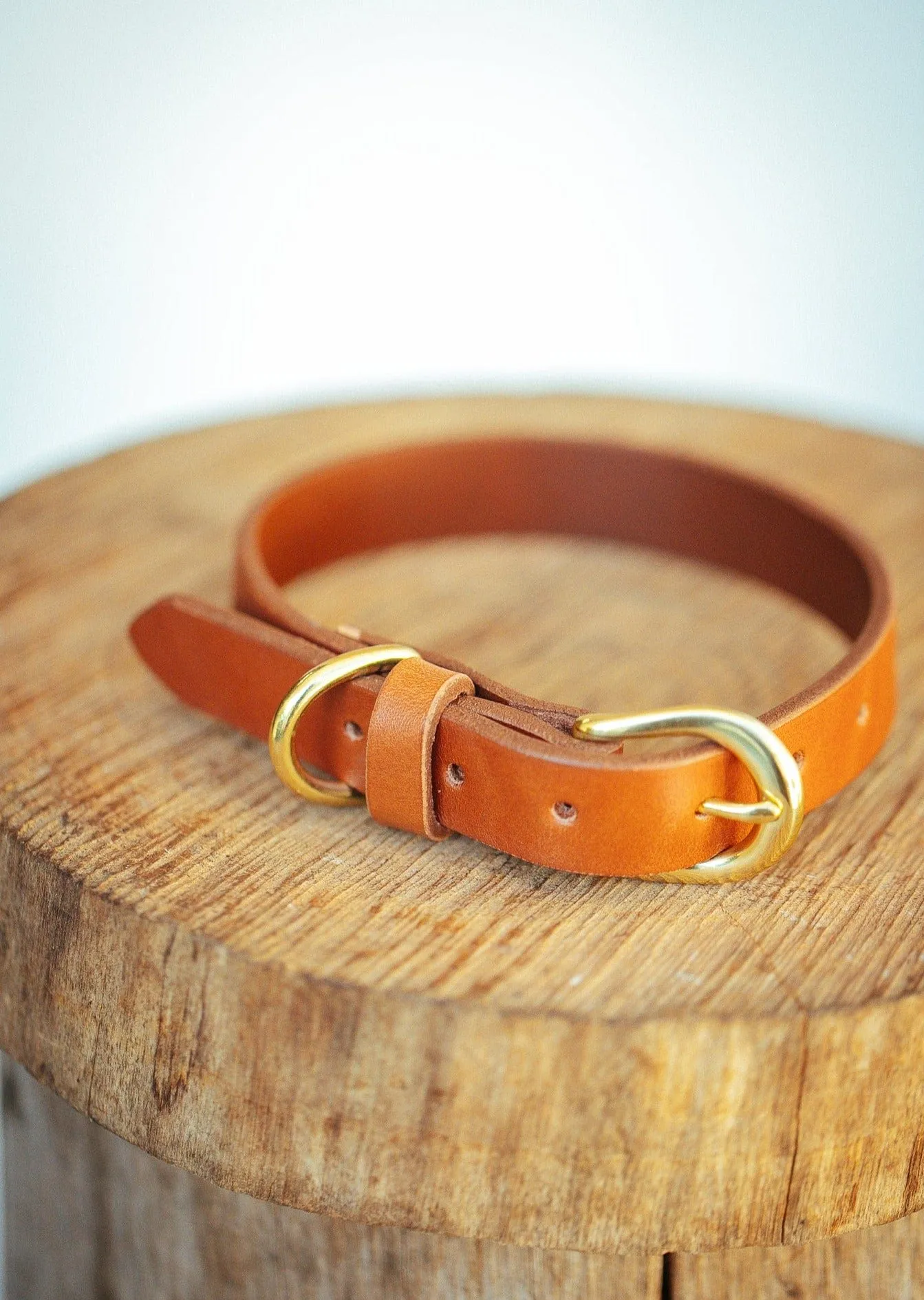 Classic Dog Collar - 18mm - Tan