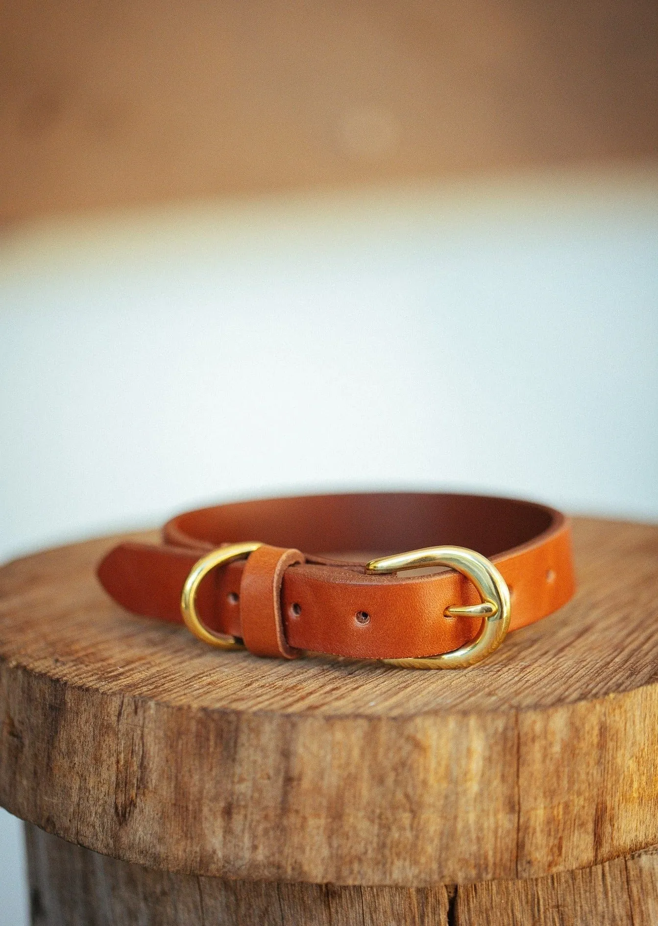 Classic Dog Collar - 18mm - Tan