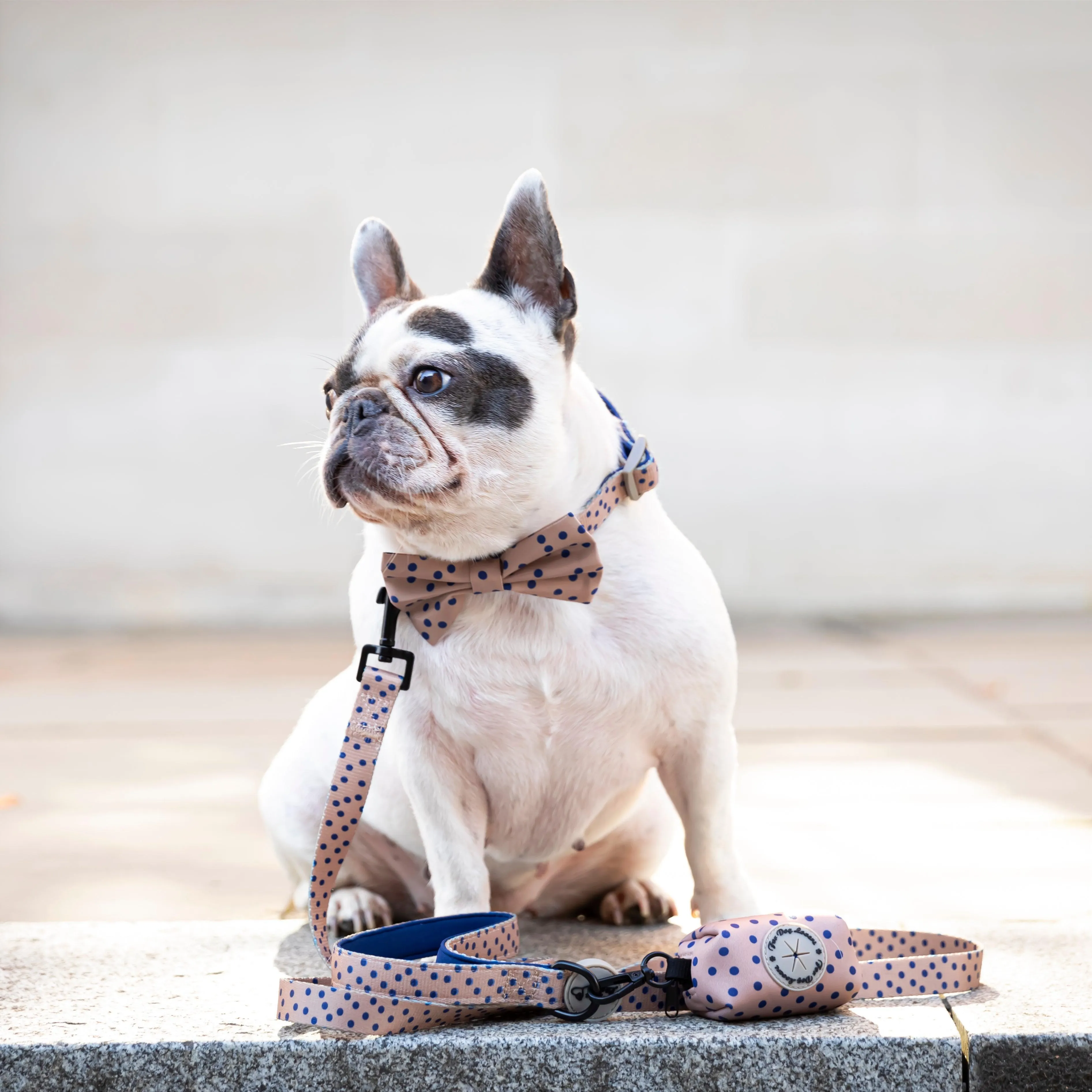 Dog Lead - Fashion Icon