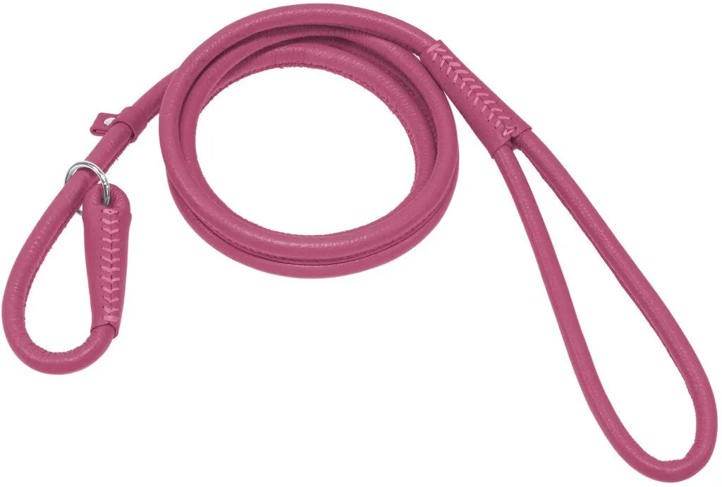 Dog Line Round Leather