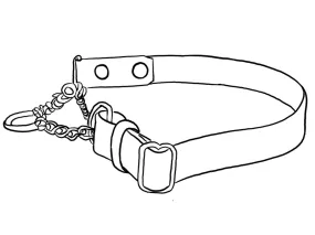 Fully Customizable Adjustable Leather Martingale Dog Collar