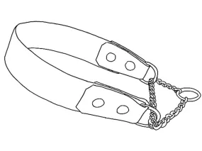Fully Customizable Leather Martingale Dog Collar