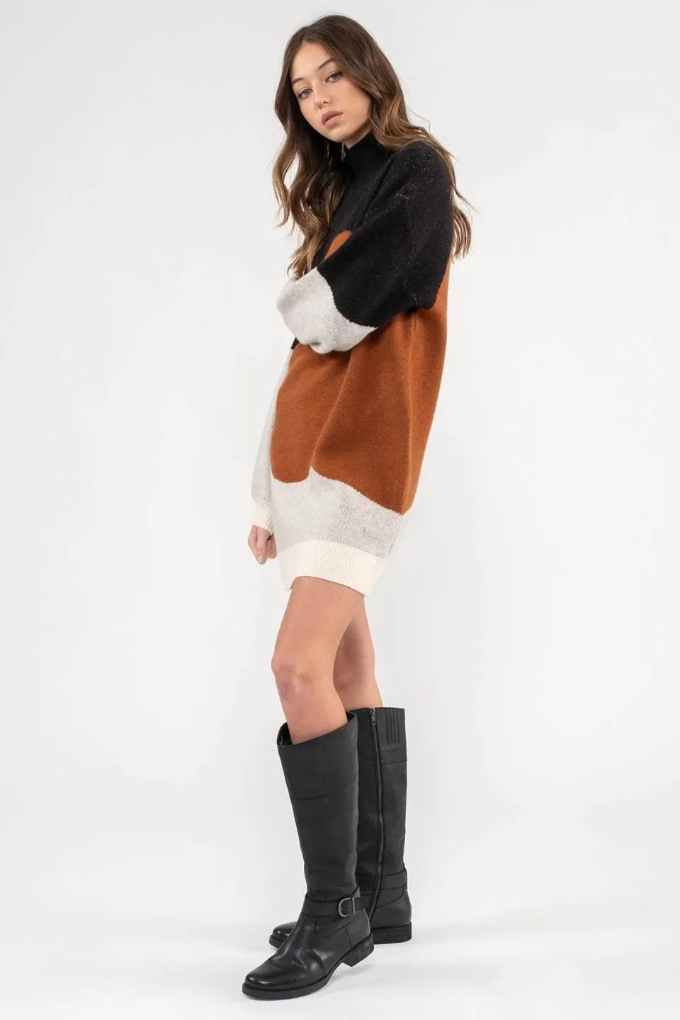 Hudson Sweater Dress