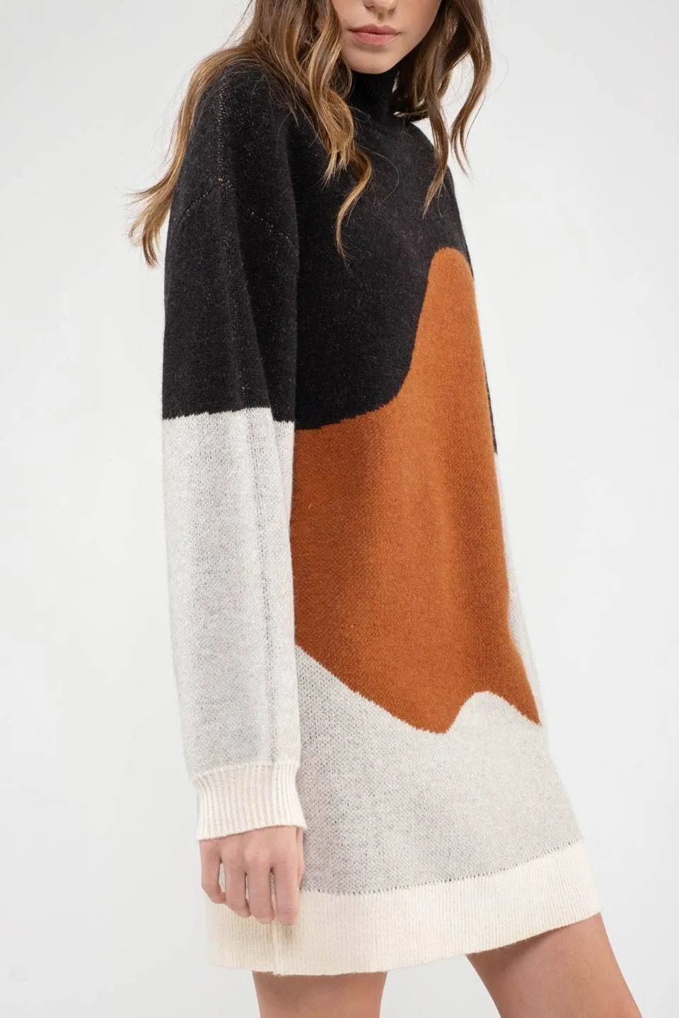 Hudson Sweater Dress