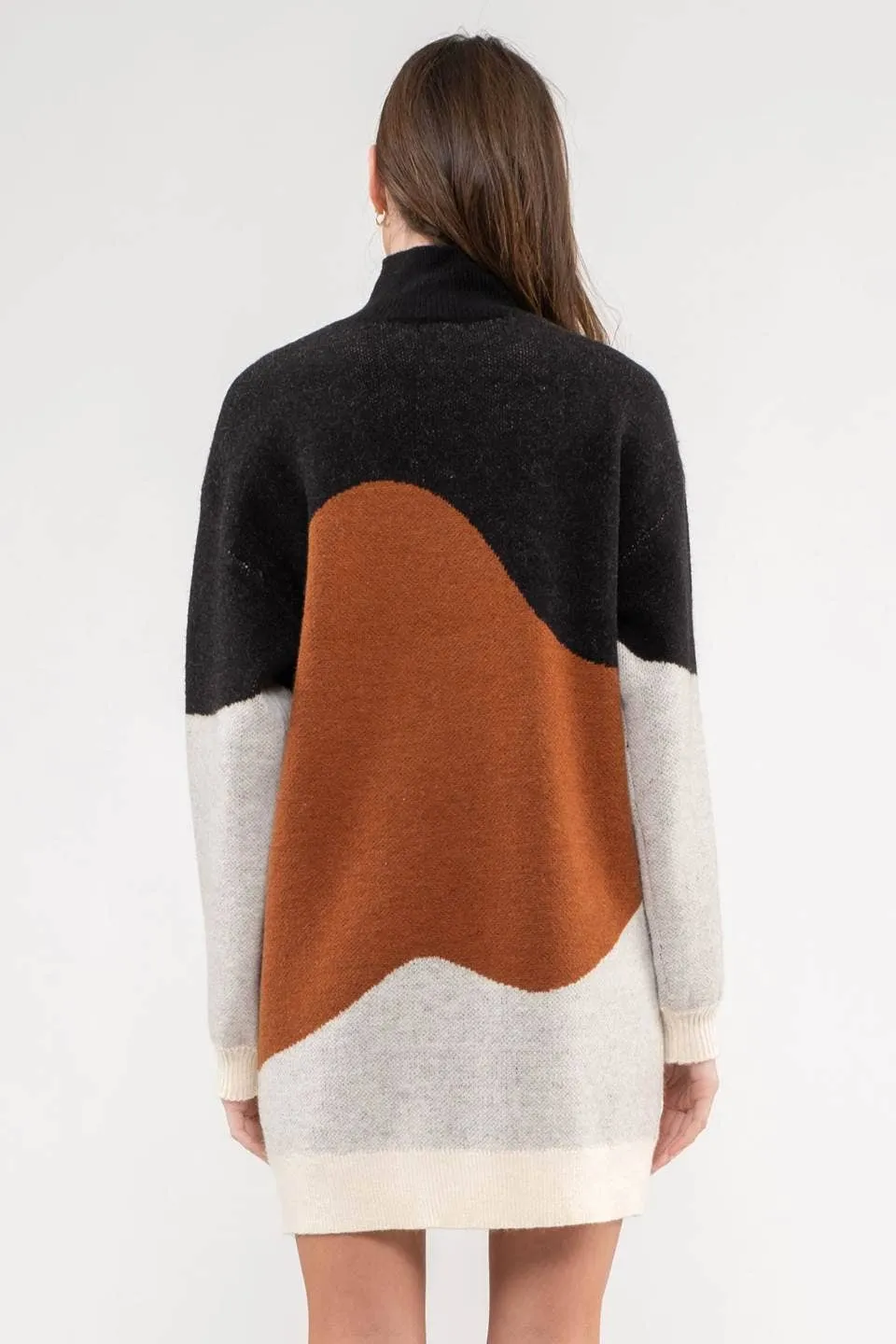 Hudson Sweater Dress