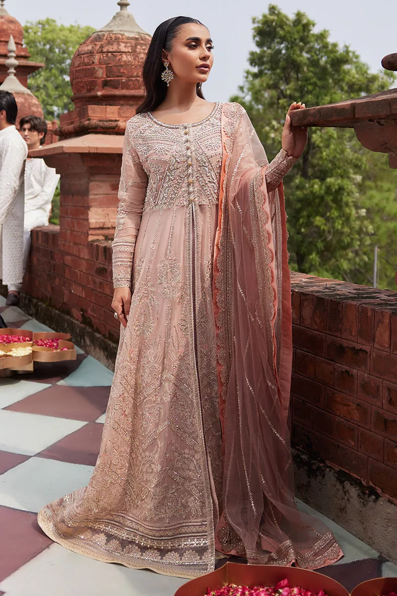 Izhar Unstitched Luxury Chiffon '23 - Taneez