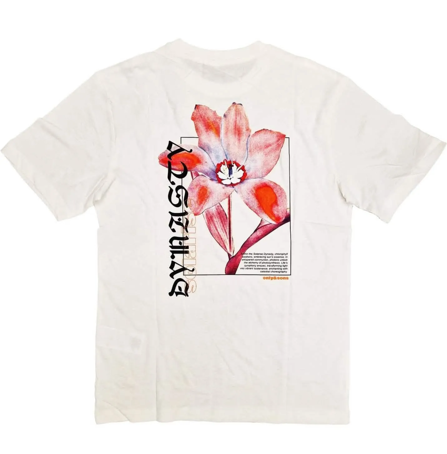 Keane Relaxed t-Shirt Cloud Dancer