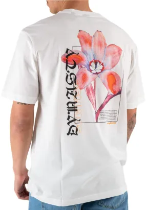Keane Relaxed t-Shirt Cloud Dancer
