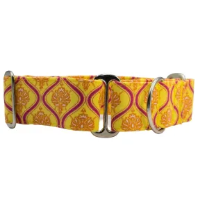 Martingale Collar - Tropic-Floral Tango