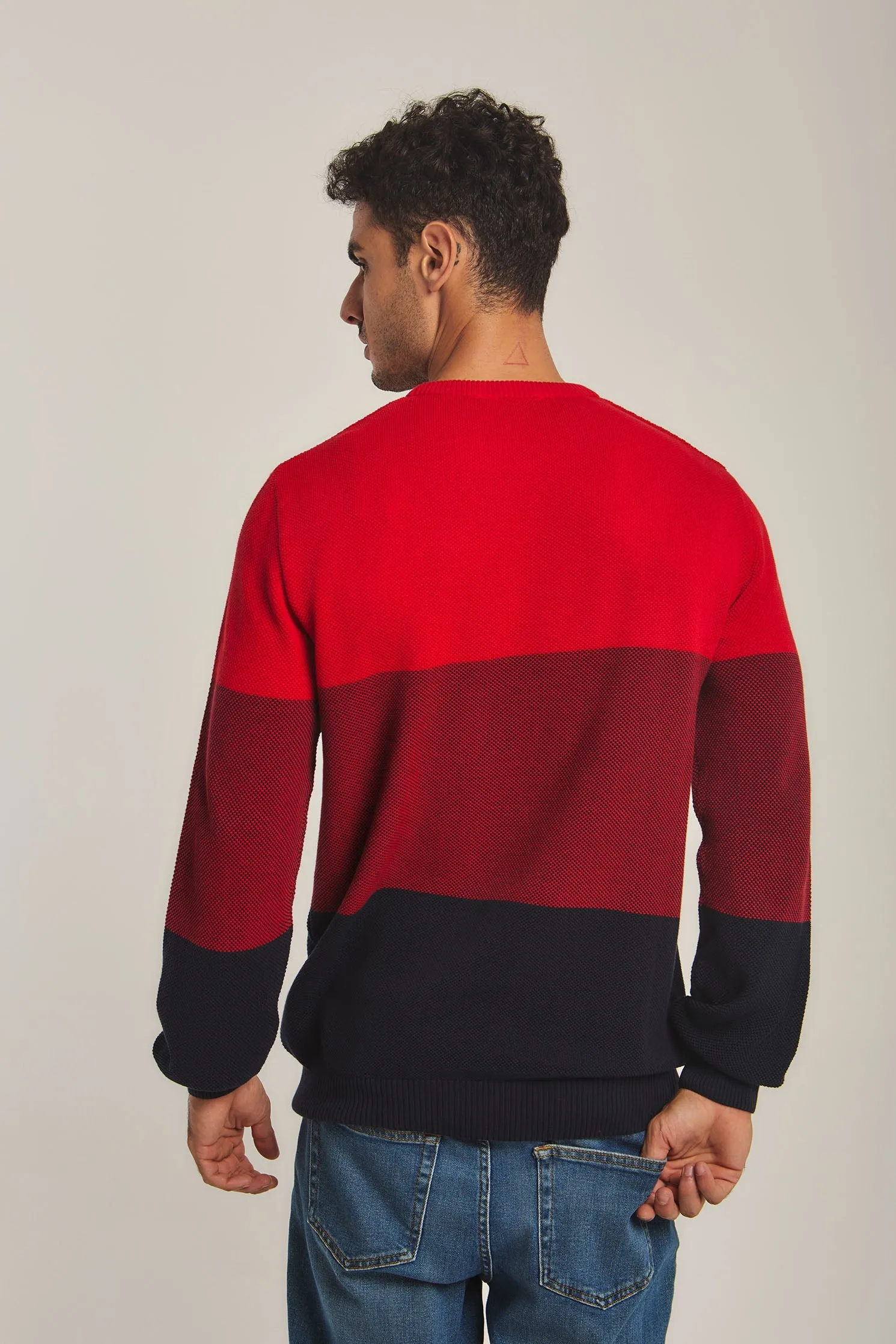Men Pullover Navy/ Red