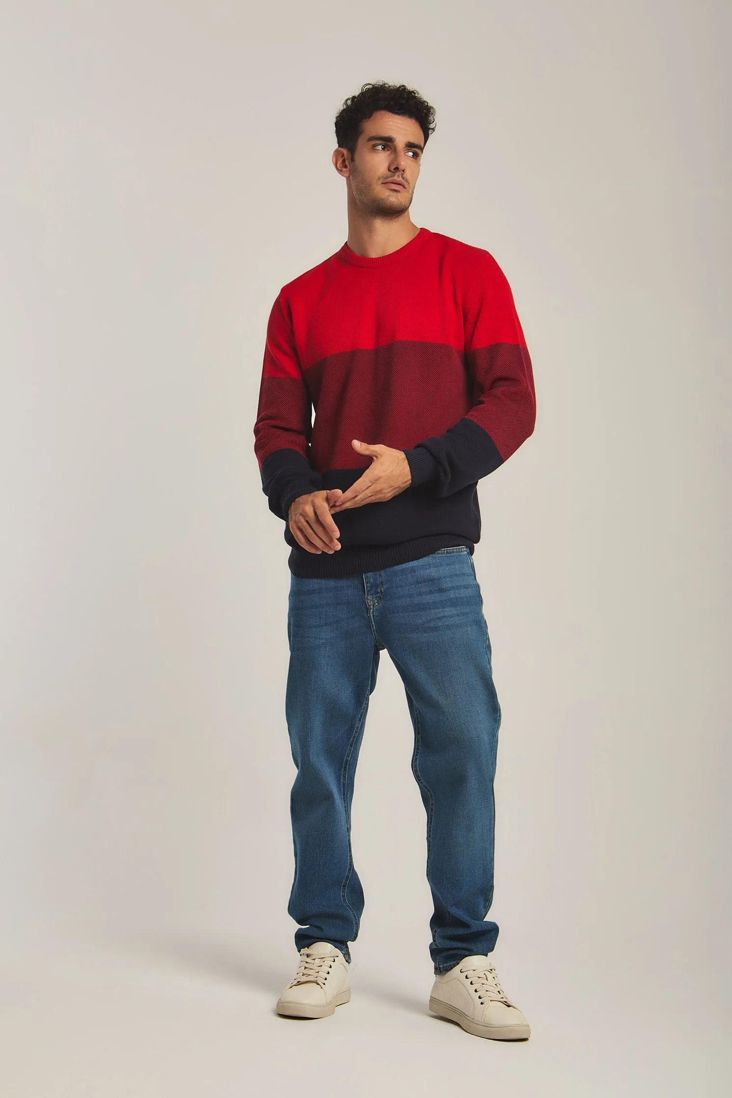 Men Pullover Navy/ Red