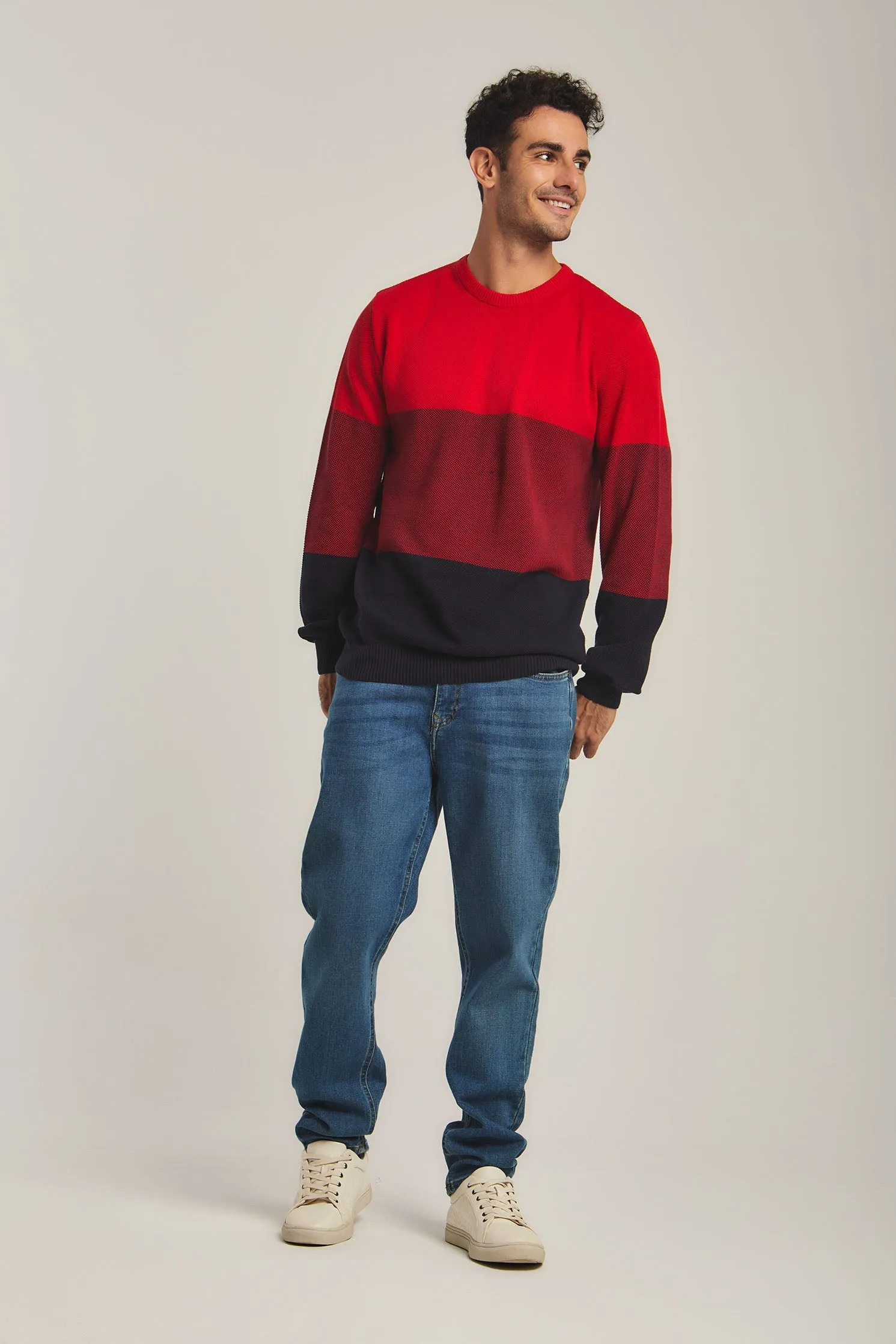Men Pullover Navy/ Red