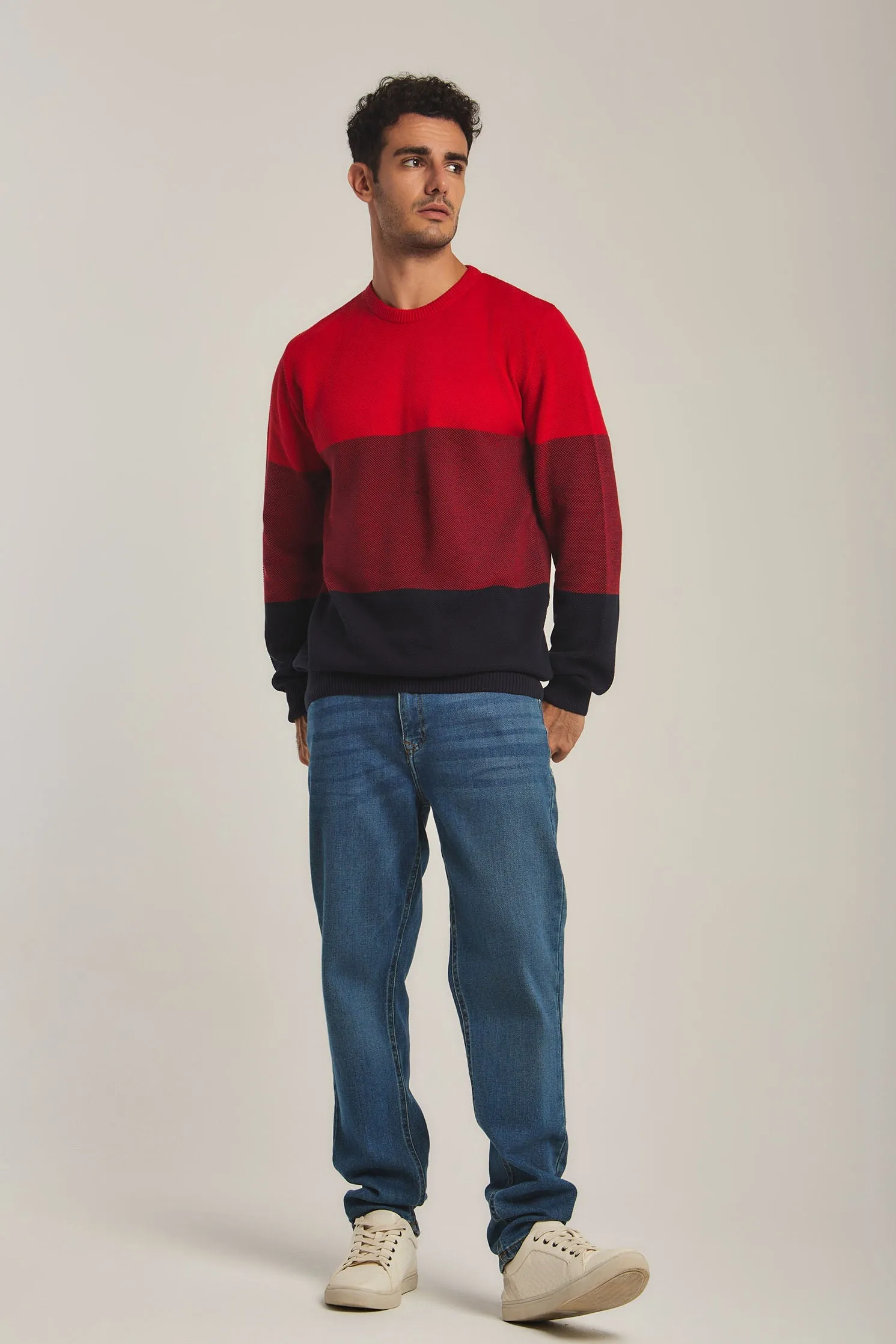Men Pullover Navy/ Red