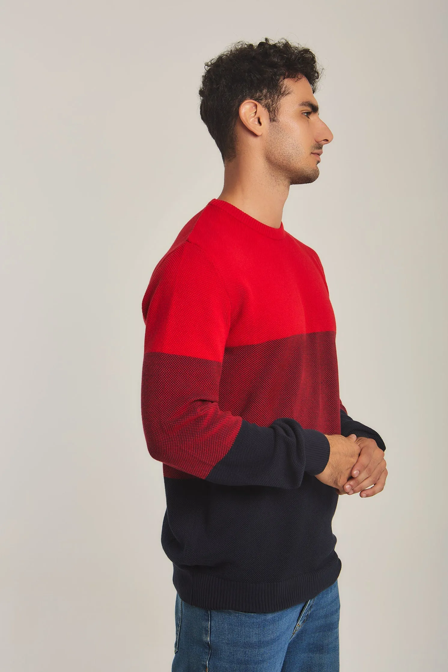 Men Pullover Navy/ Red