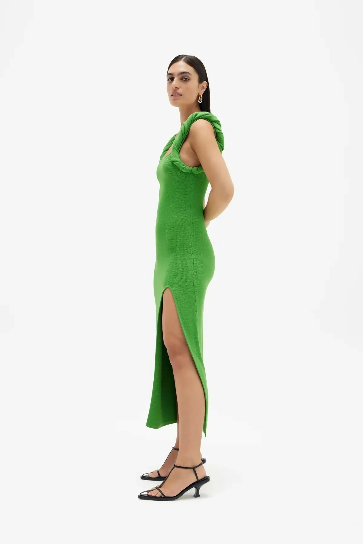 Rachel Gilbert Rosetta Dress