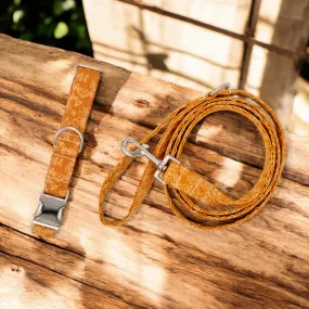 Rust Orange Floral | Collar and Leash Set