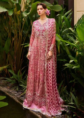 Stardust Wedding Festive 2023 by Mushq | CUPID - MW23-07